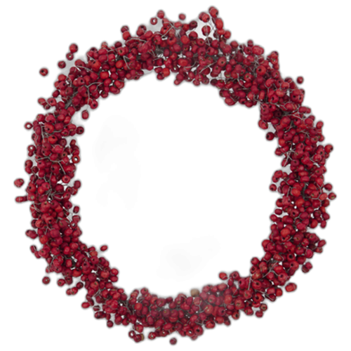 house_doctor_christmas_christmas_wreaths_257870097_500x500