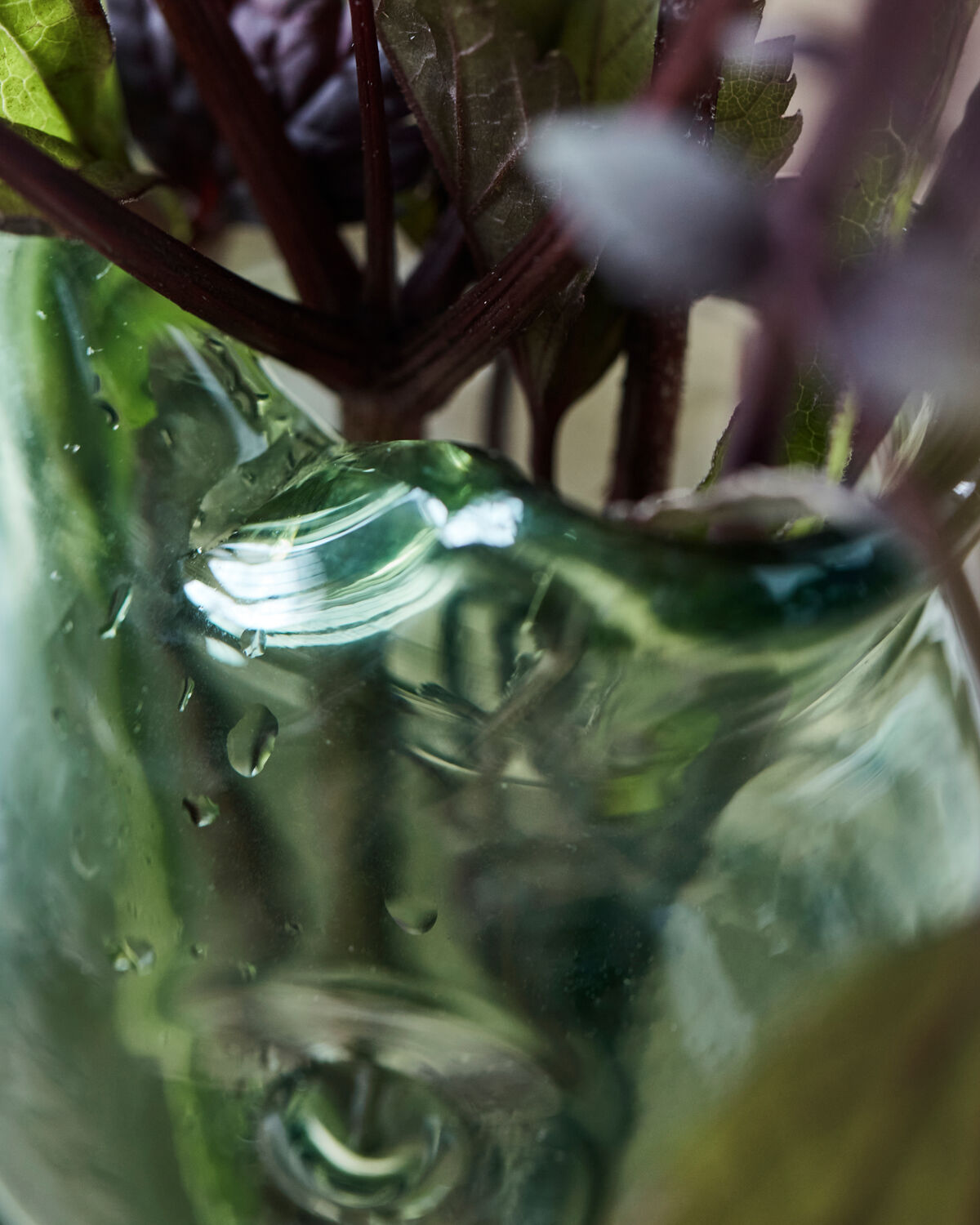 Vase, HDFish, Grün