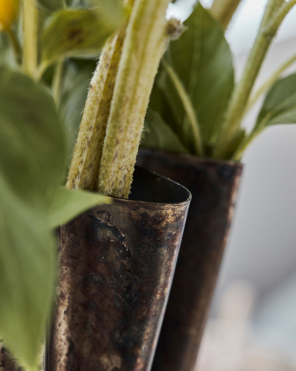 Vase, HDFlood, Antikes Braun