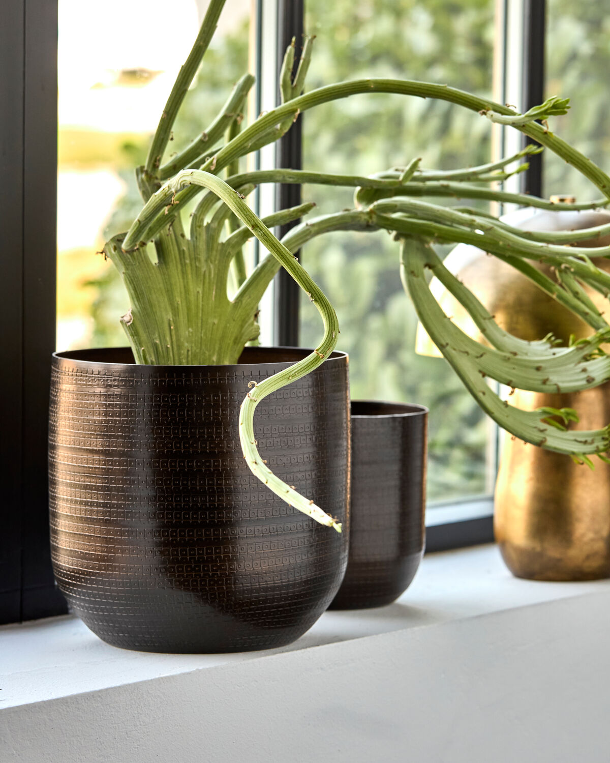 Blumentopf, HDIrene, Antikes Braun