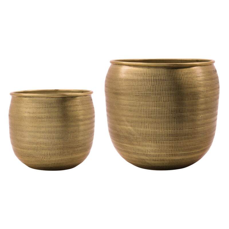 Blumentopf, HDSpot, Gold