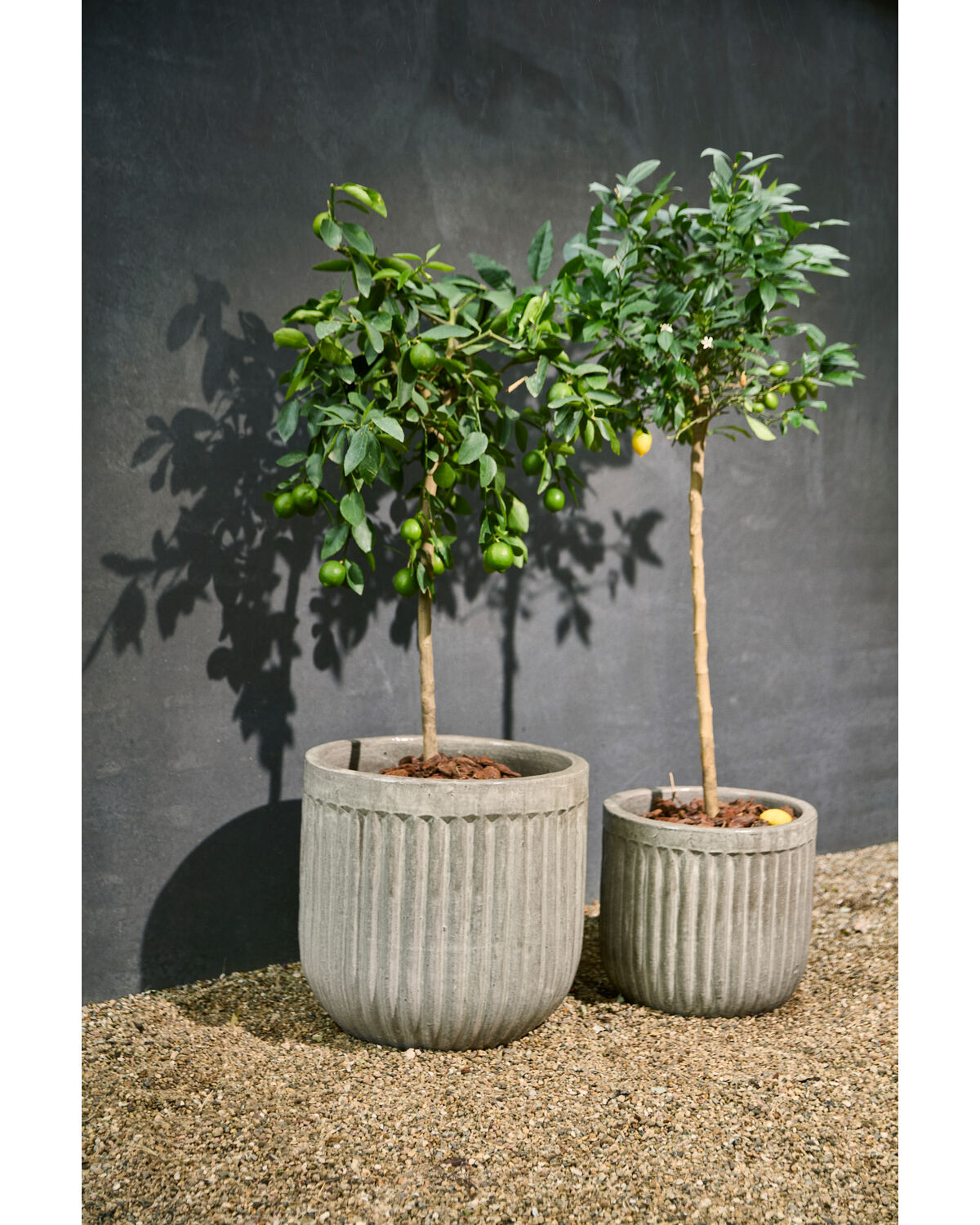 Blumentopf, HDPharao, Grau, Braun