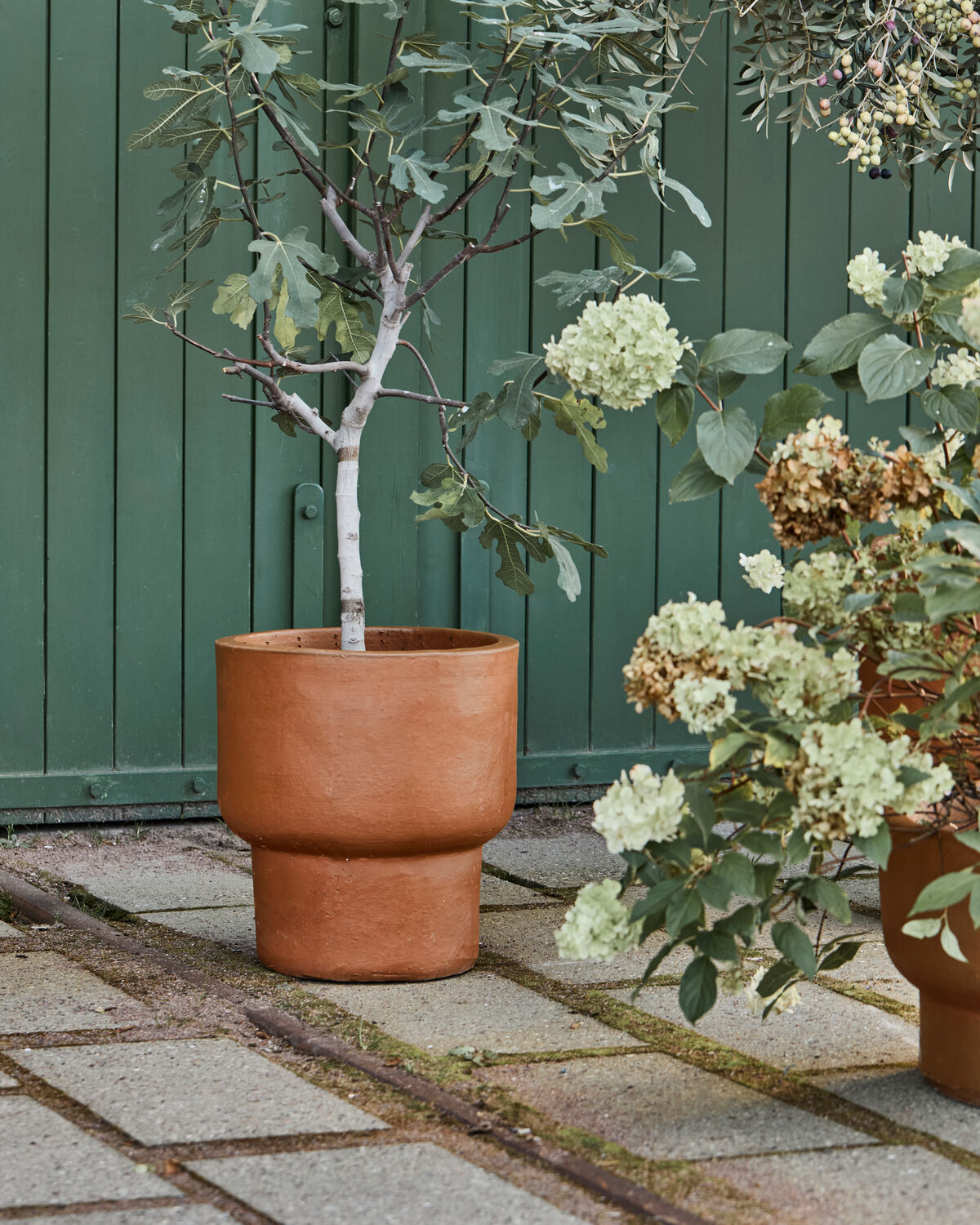 Blumentopf, HDTerra, Antikes Braun