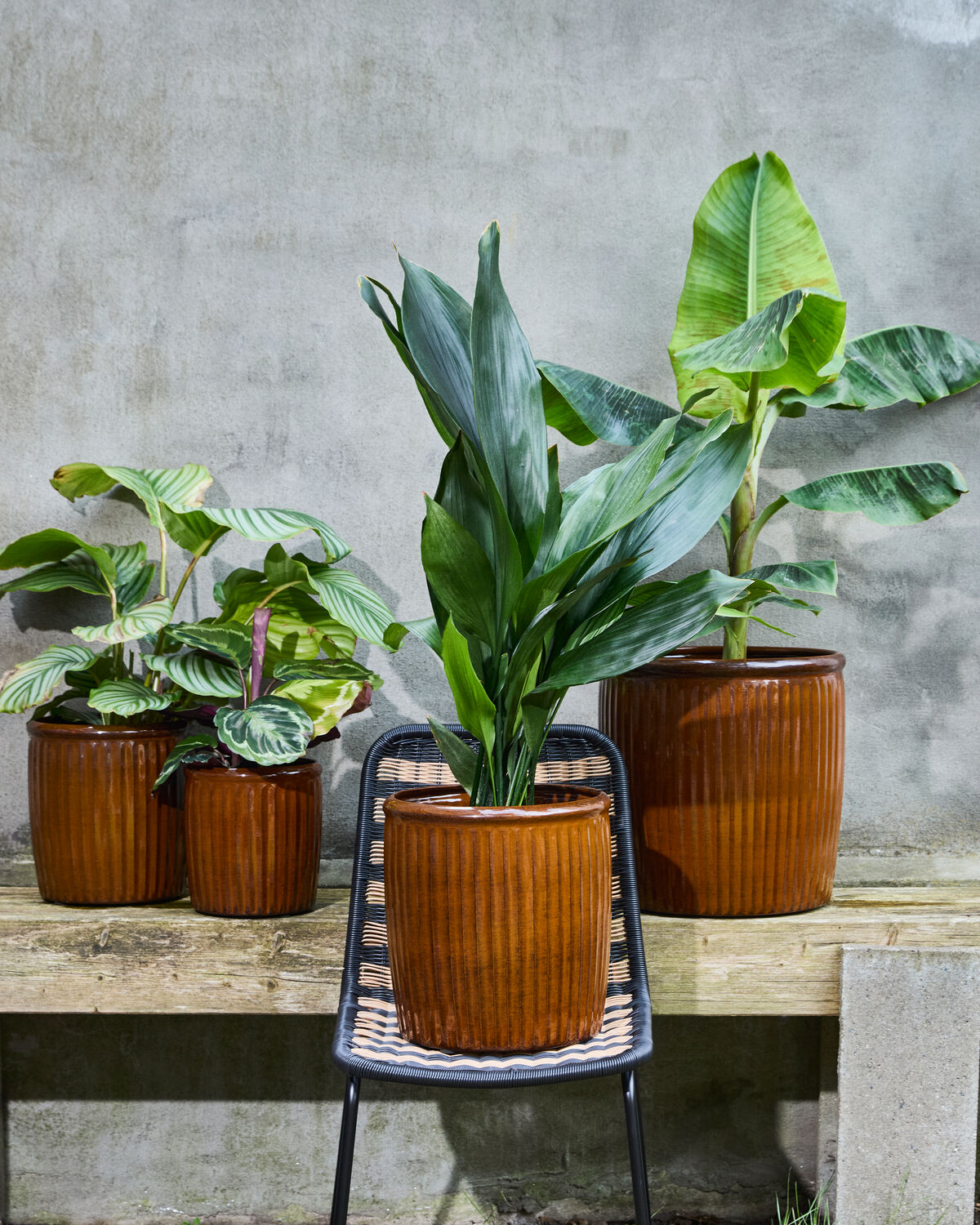 Blumentopf, HDGroove, Braun