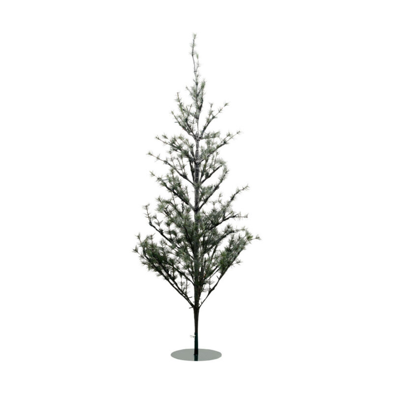 Weihnachtsbaum, HDPin, Natur