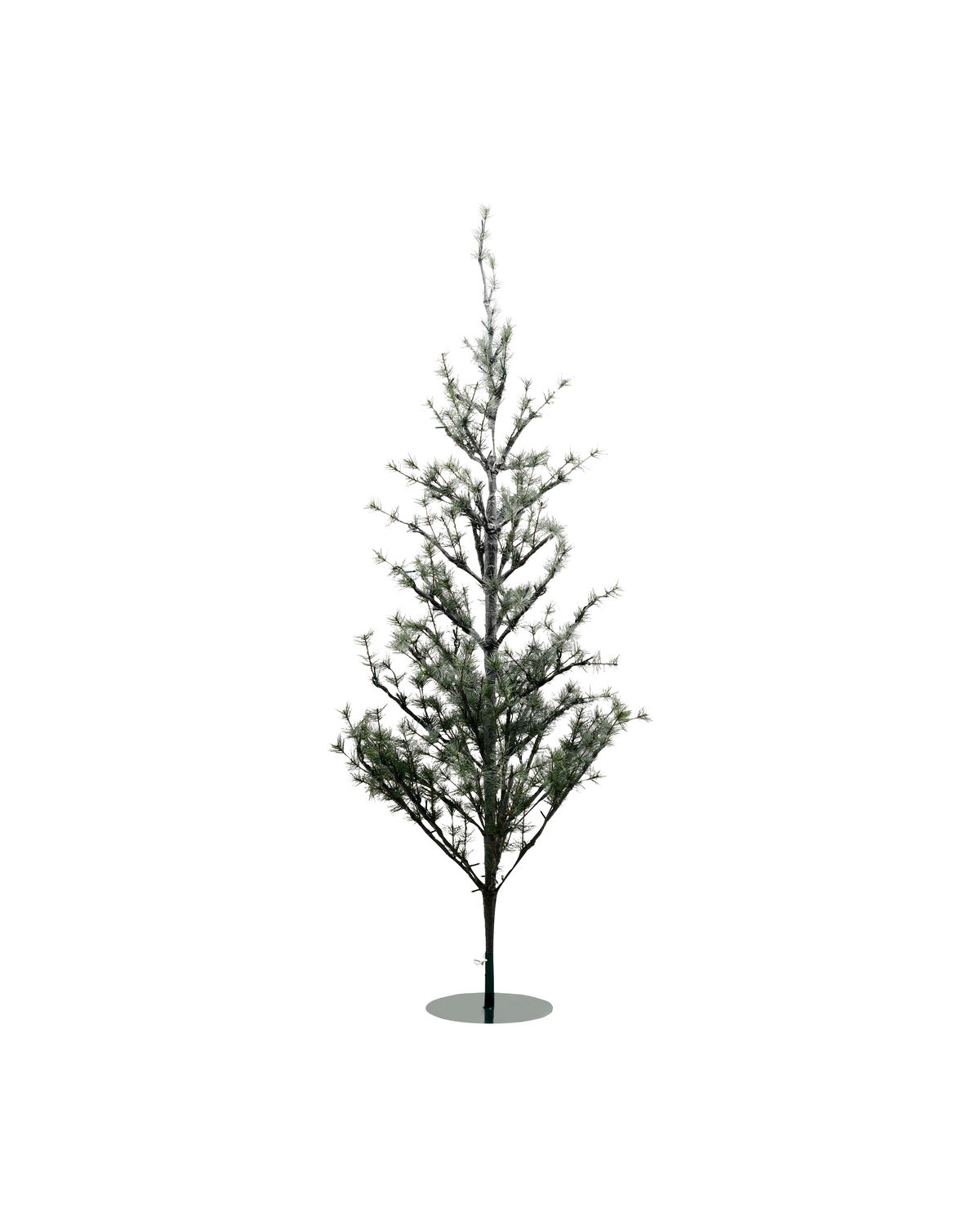 Weihnachtsbaum, HDPin, Natur