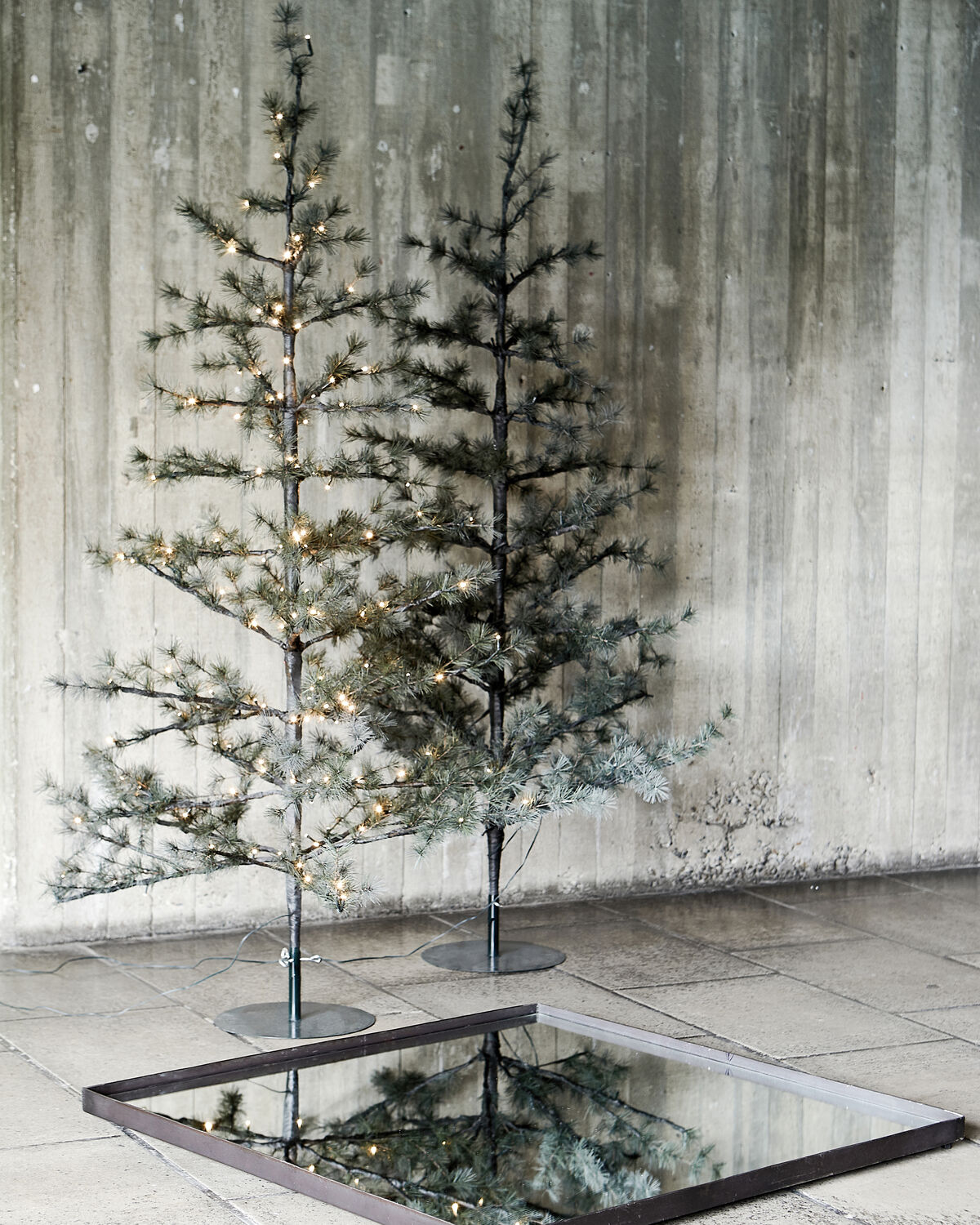 Weihnachtsbaum, HDPin, Natur