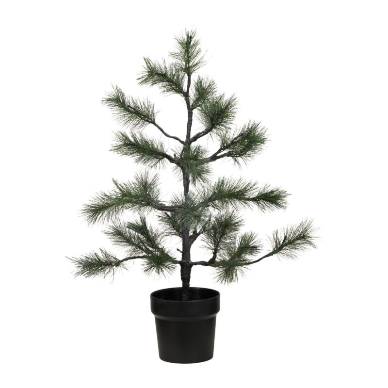 Weihnachtsbaum, HDPeuce, Natur
