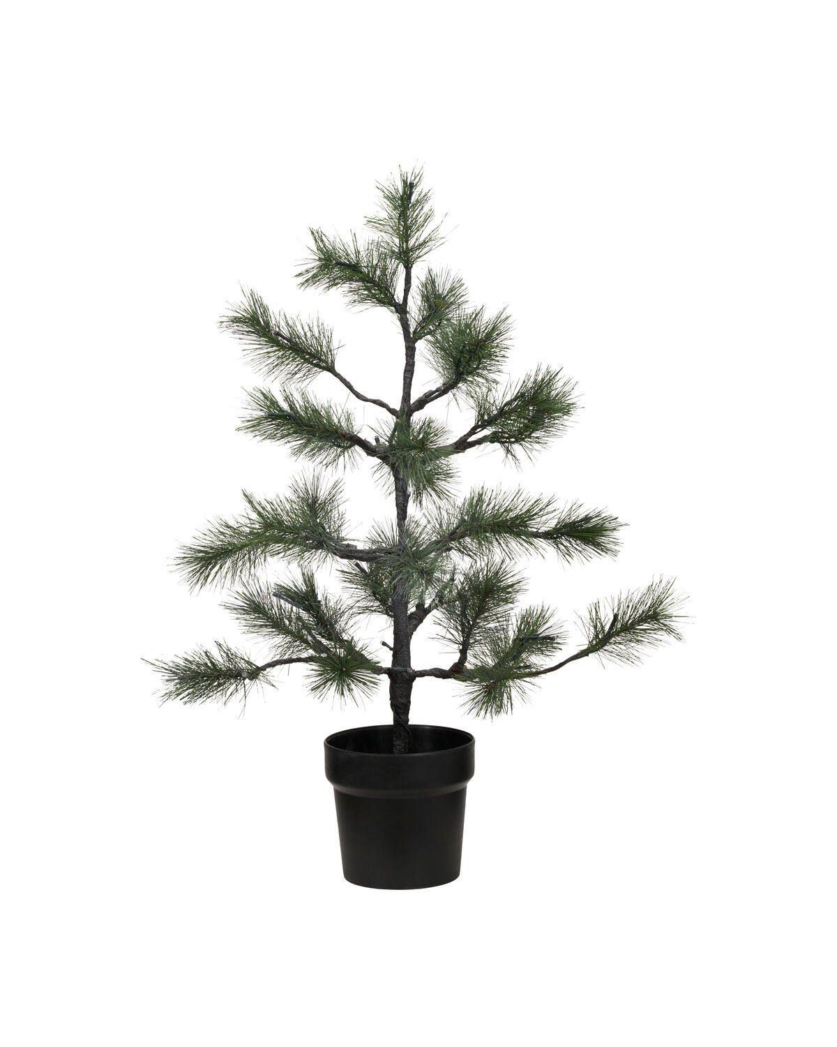 Weihnachtsbaum, HDPeuce, Natur