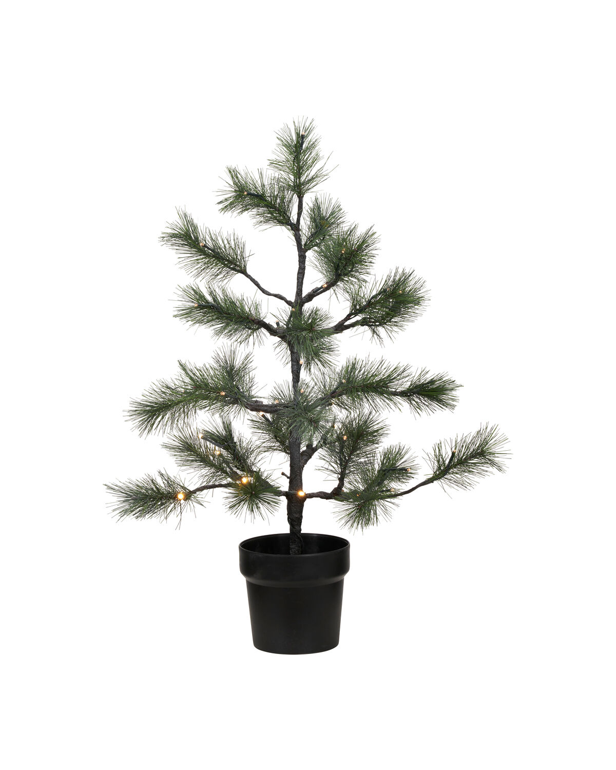 Weihnachtsbaum, HDPeuce, Natur