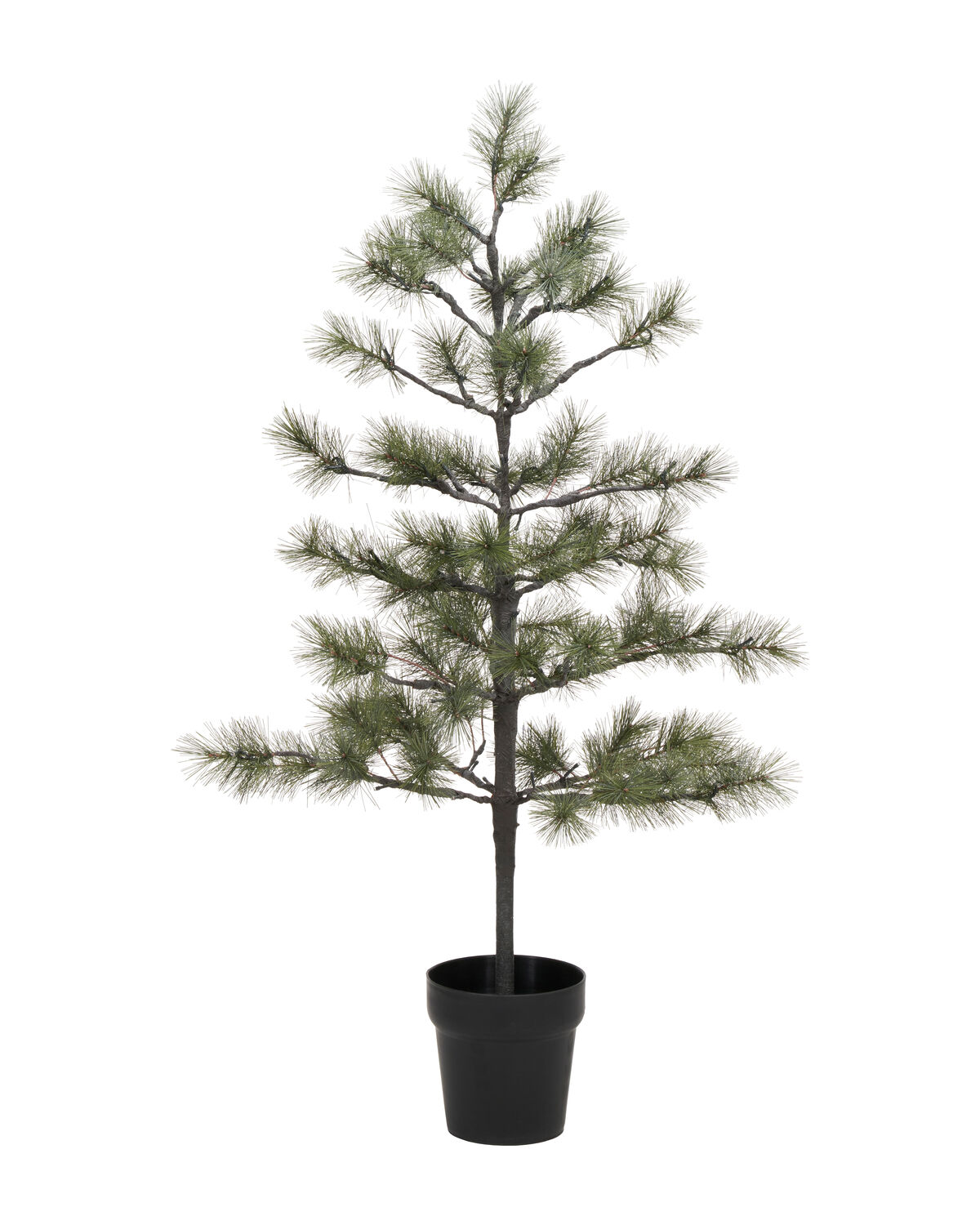 Weihnachtsbaum, HDPeuce, Natur