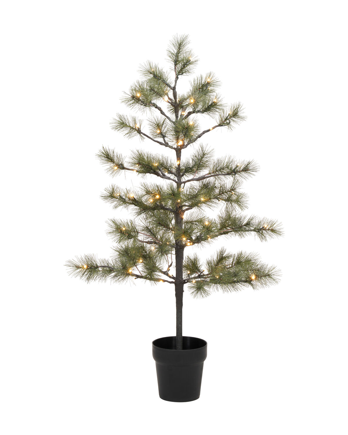 Weihnachtsbaum, HDPeuce, Natur
