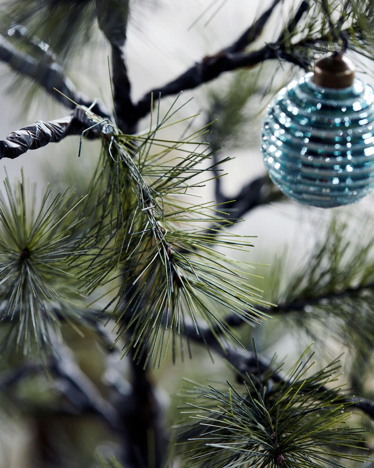 Weihnachtsbaum, HDPeuce, Natur
