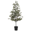 Weihnachtsbaum, HDPeuce, Natur