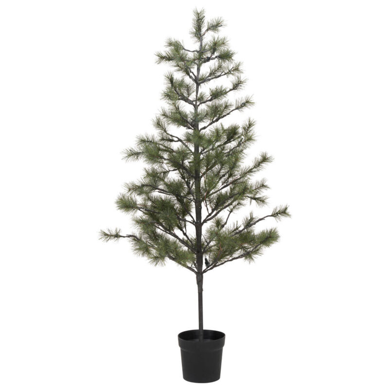 Weihnachtsbaum, HDPeuce, Natur