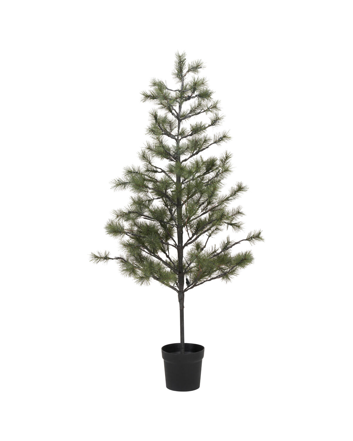 Weihnachtsbaum, HDPeuce, Natur
