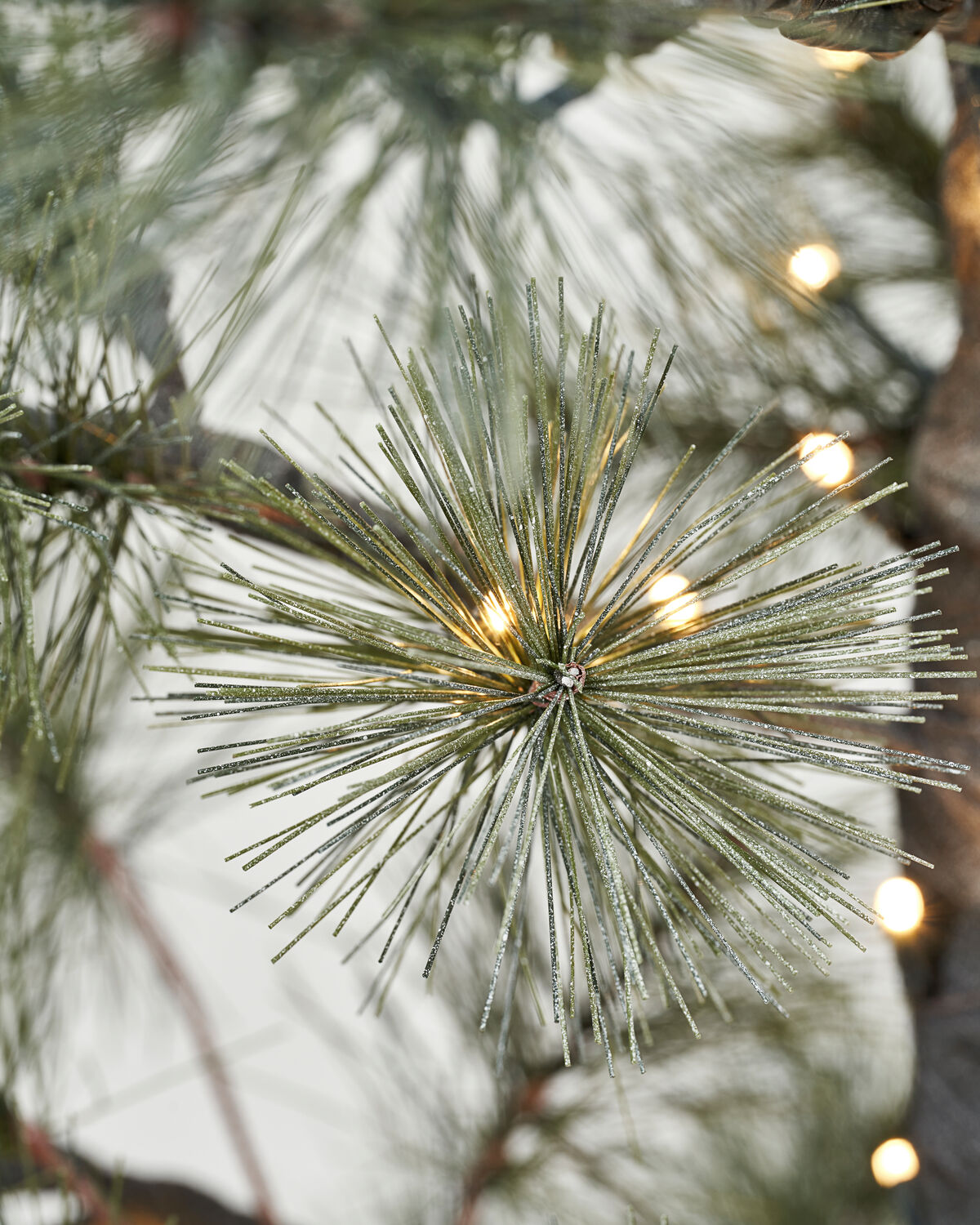 Weihnachtsbaum, HDPeuce, Natur
