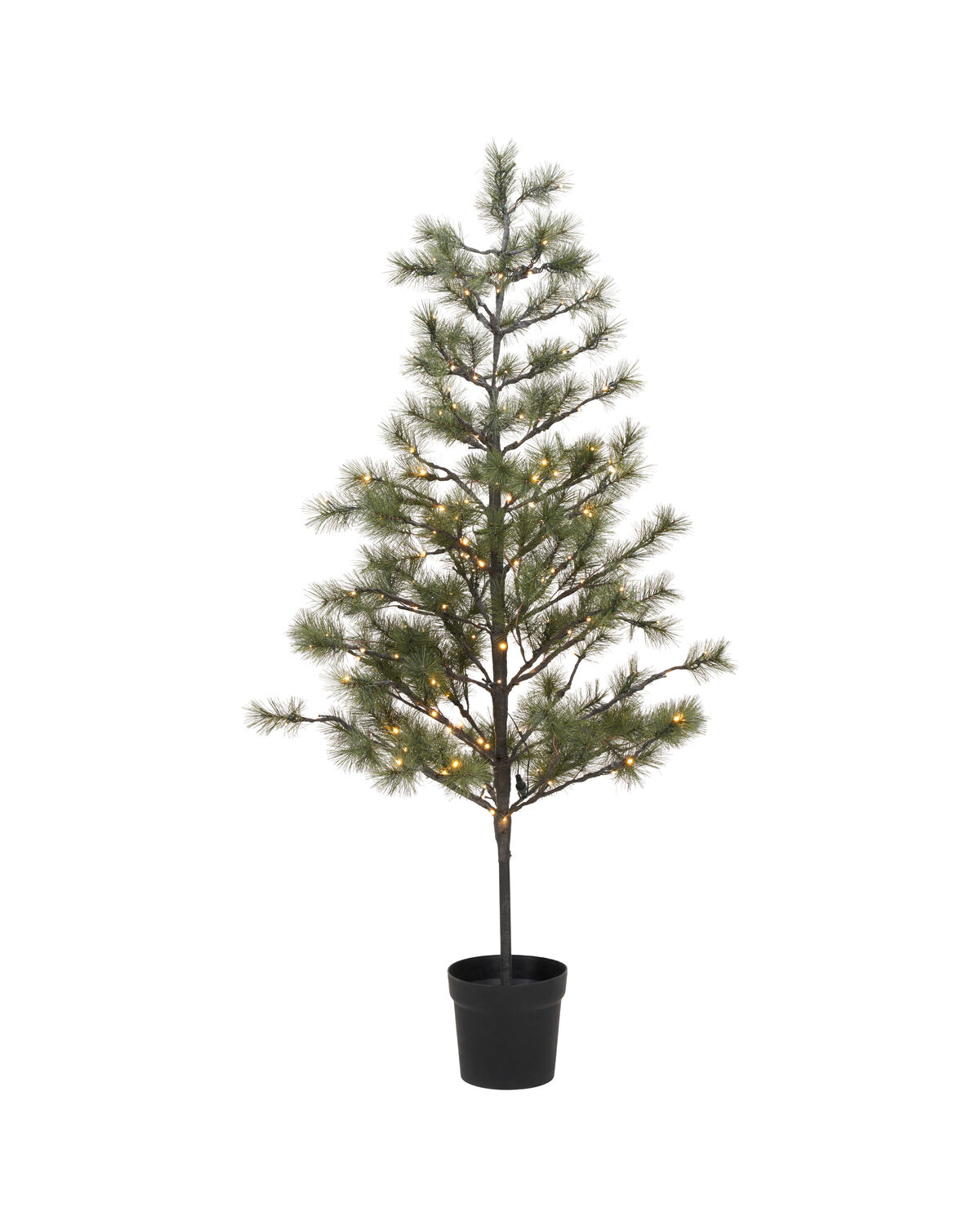 Weihnachtsbaum, HDPeuce, Natur
