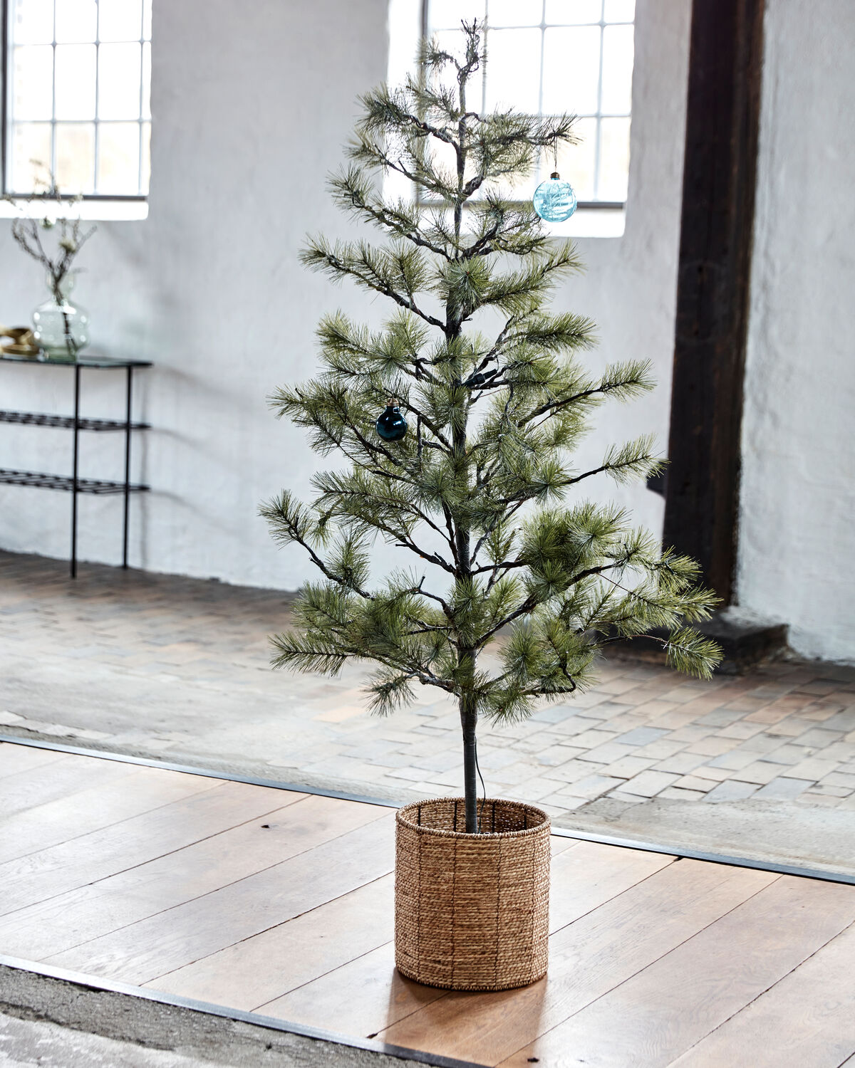 Weihnachtsbaum, HDPeuce, Natur
