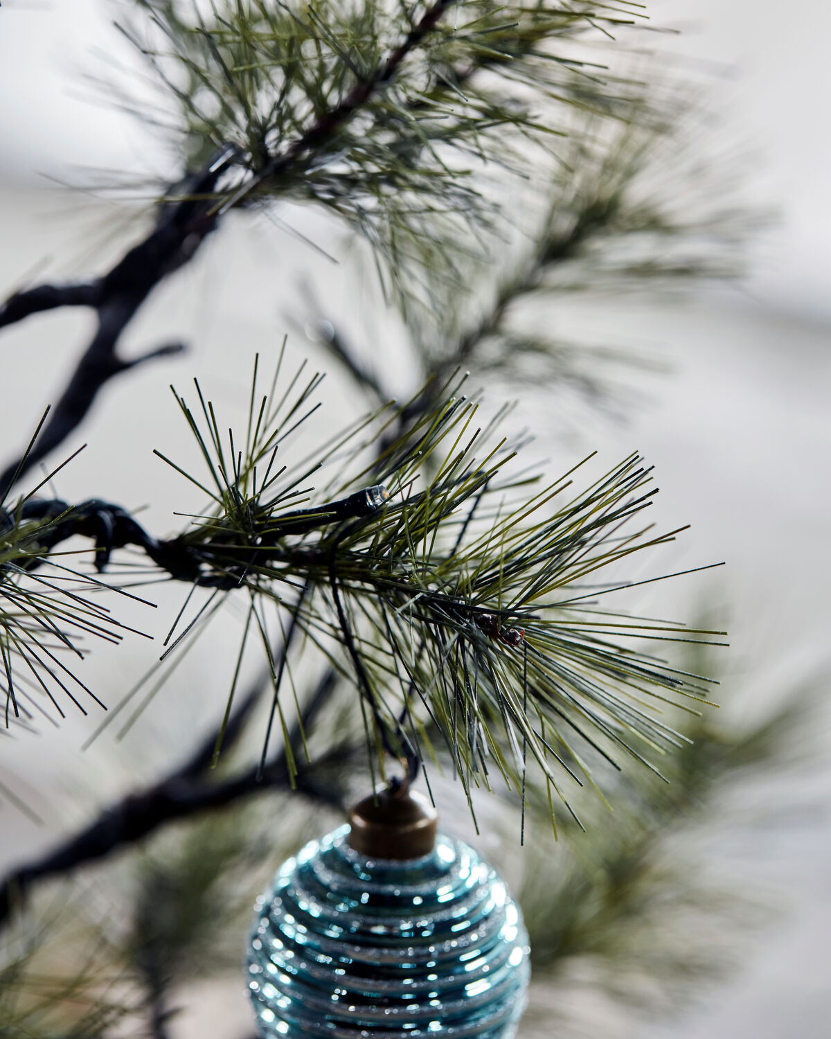 Weihnachtsbaum, HDPeuce, Natur