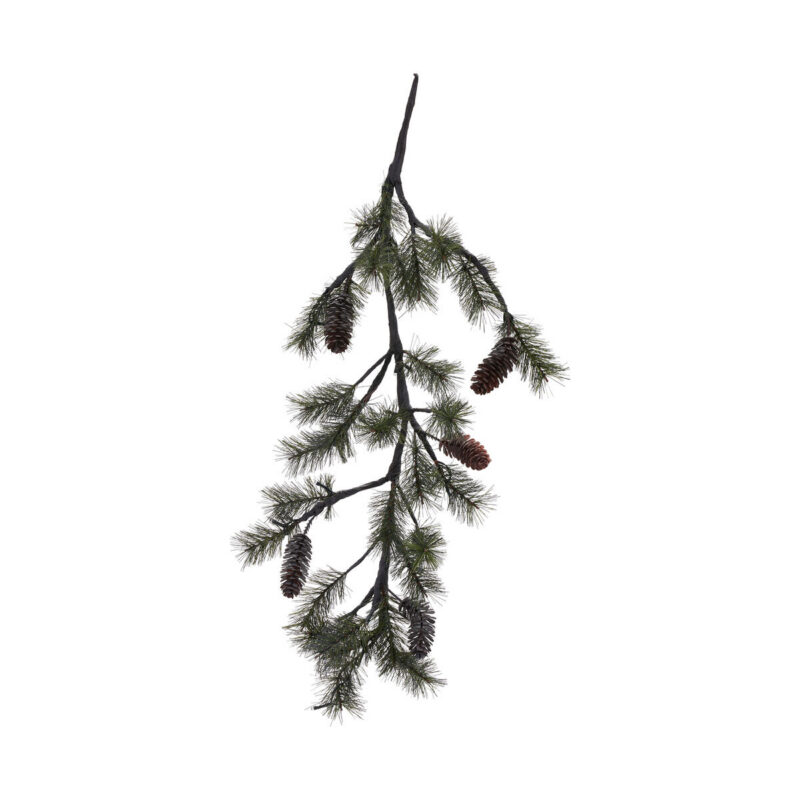 Weihnachtszweig, HDPeuce, Natur