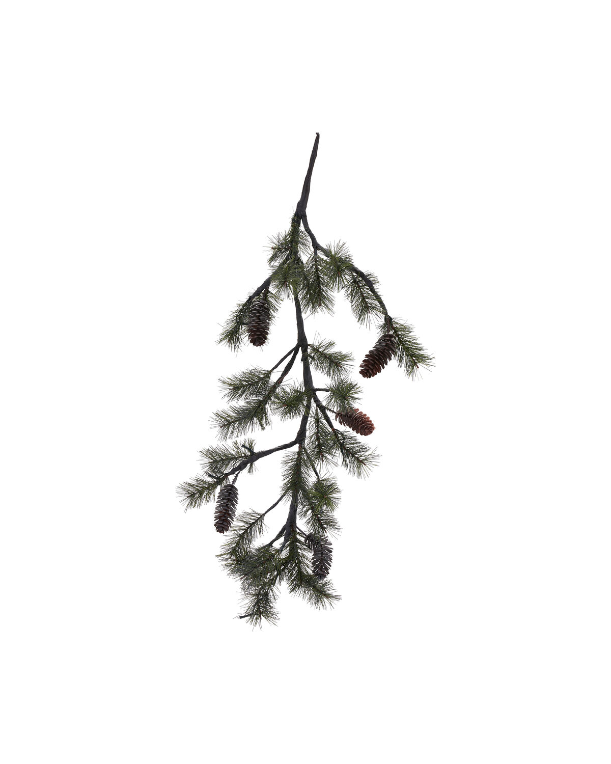 Weihnachtszweig, HDPeuce, Natur