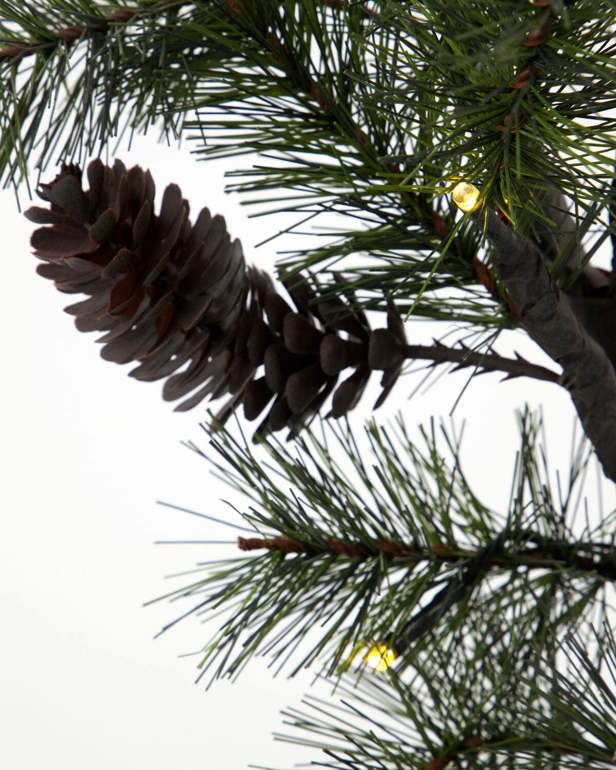 Weihnachtszweig, HDPeuce, Natur