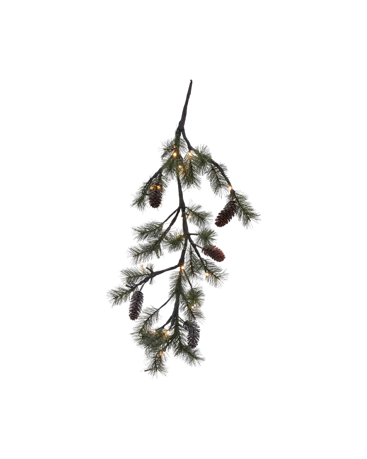 Weihnachtszweig, HDPeuce, Natur