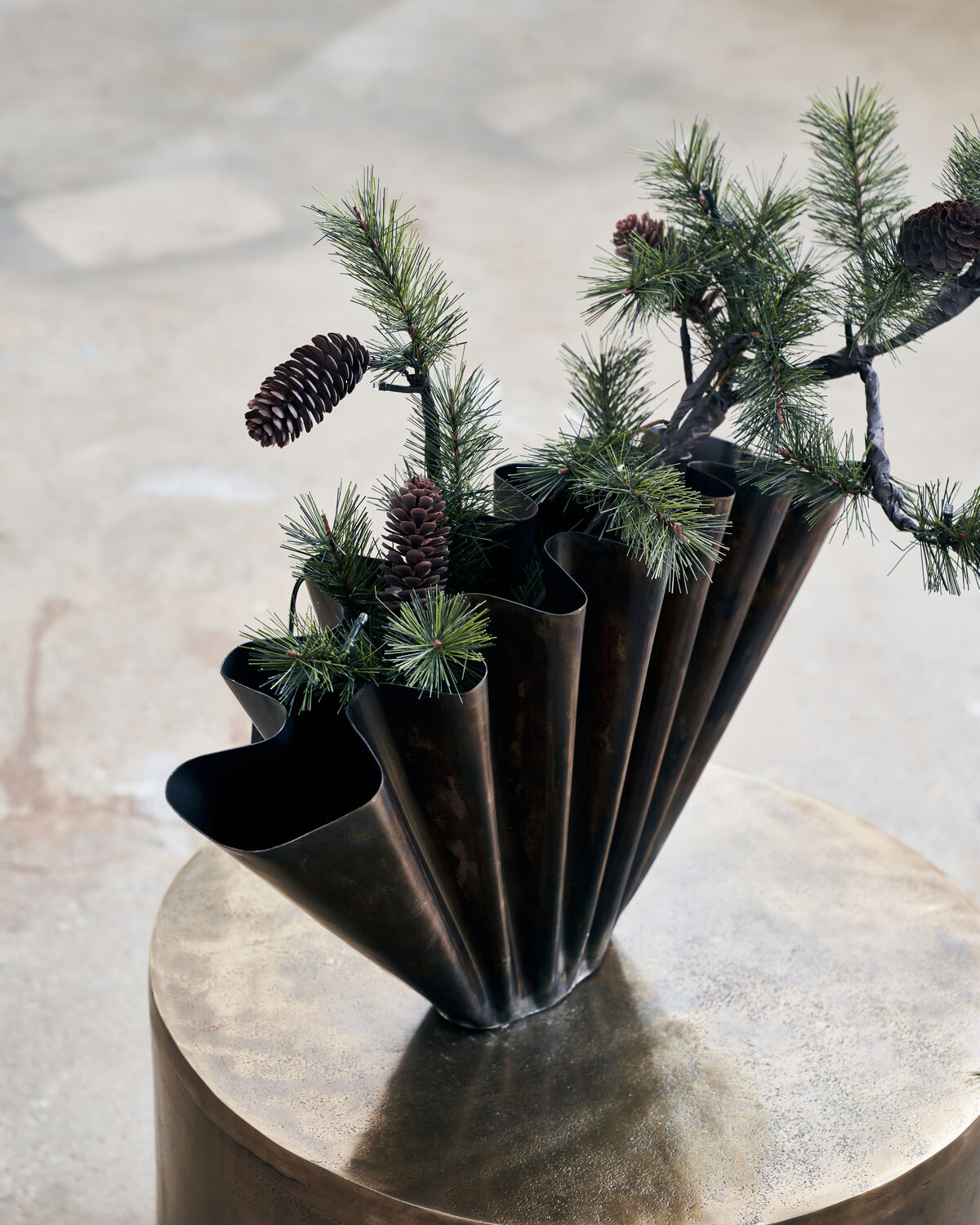 Weihnachtszweig, HDPeuce, Natur