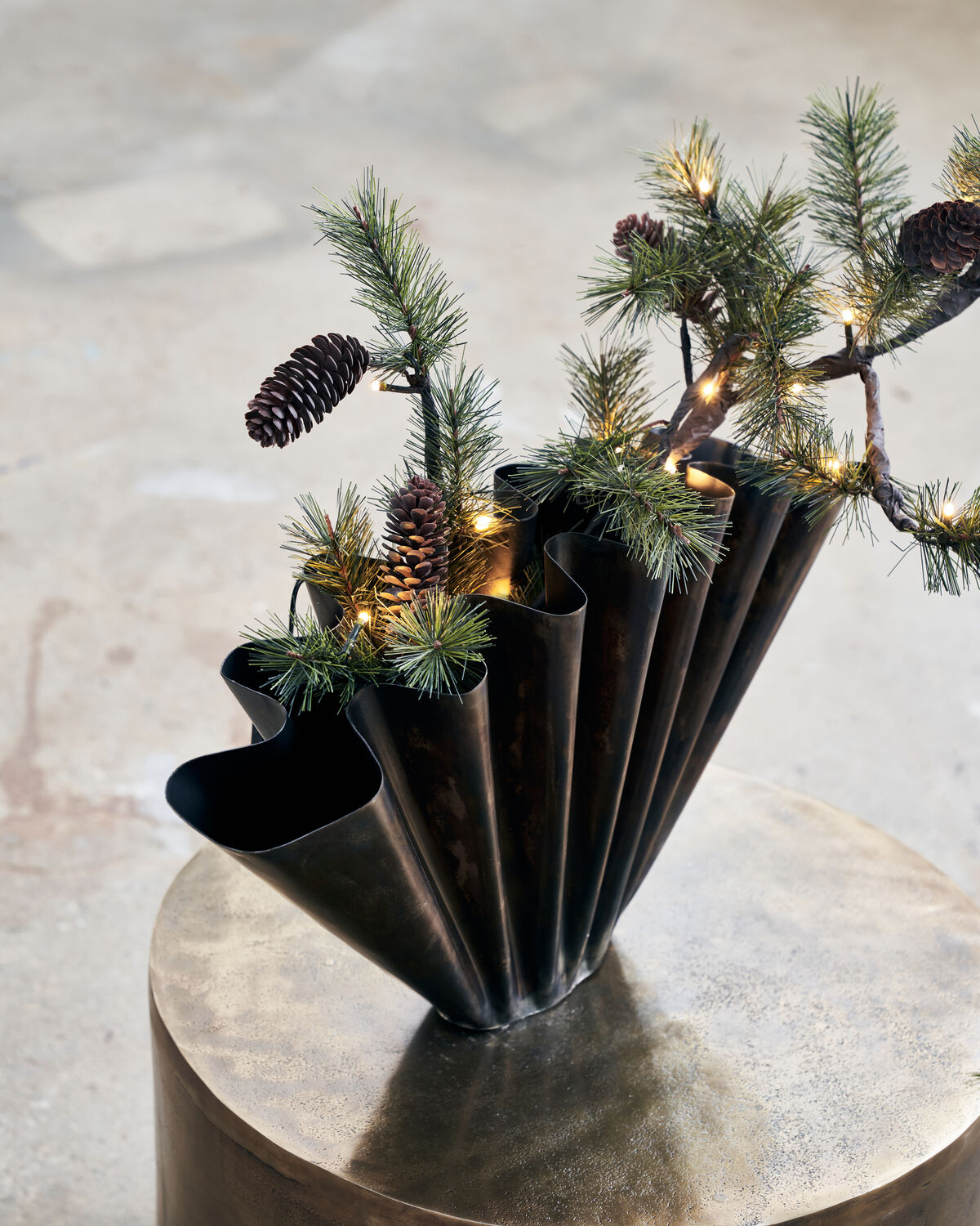 Weihnachtszweig, HDPeuce, Natur