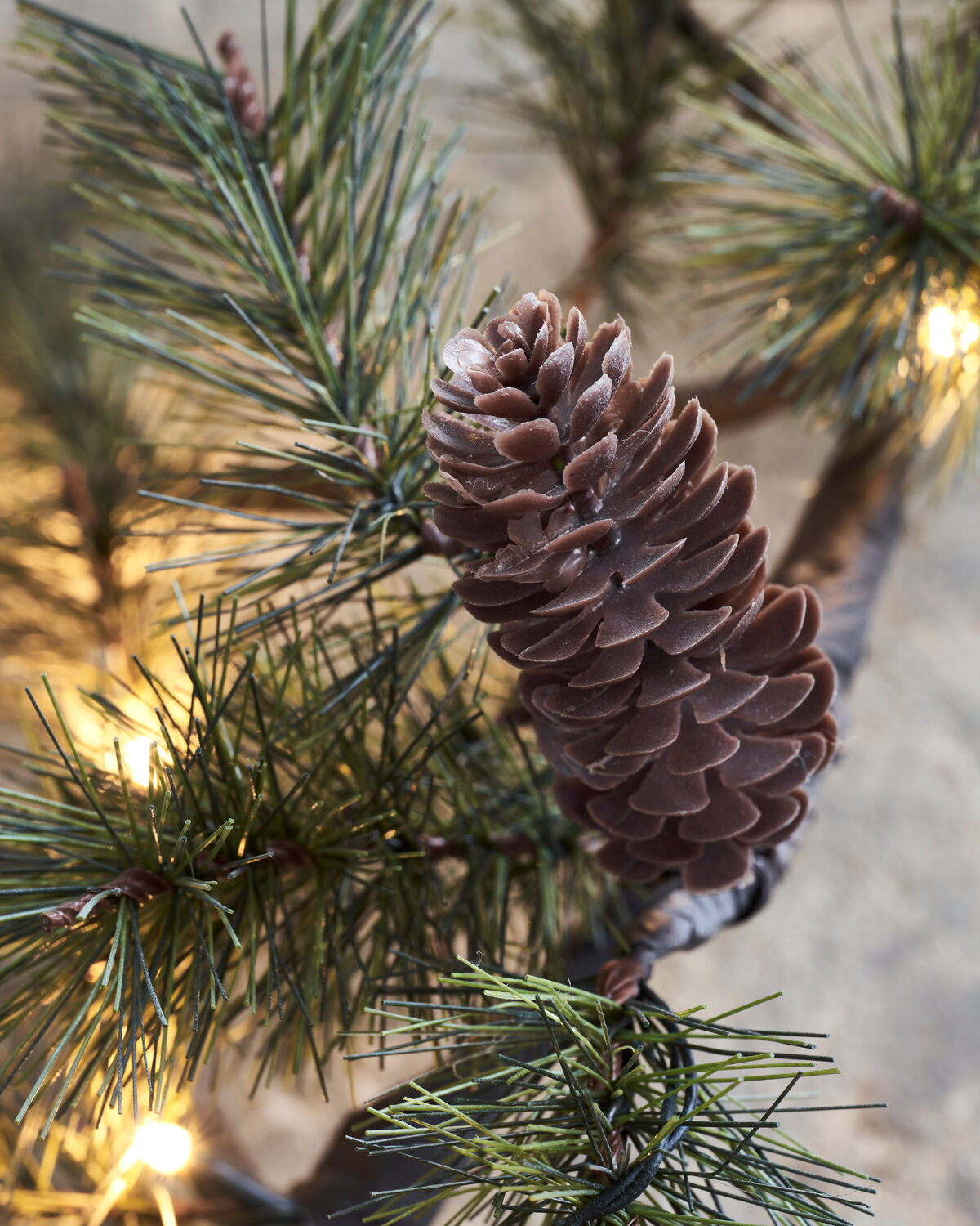 Weihnachtszweig, HDPeuce, Natur