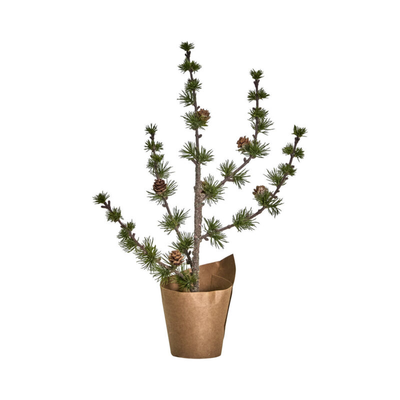 Weihnachtsbaum, HDStay, Grün