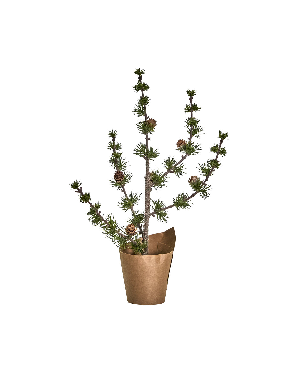 Weihnachtsbaum, HDStay, Grün