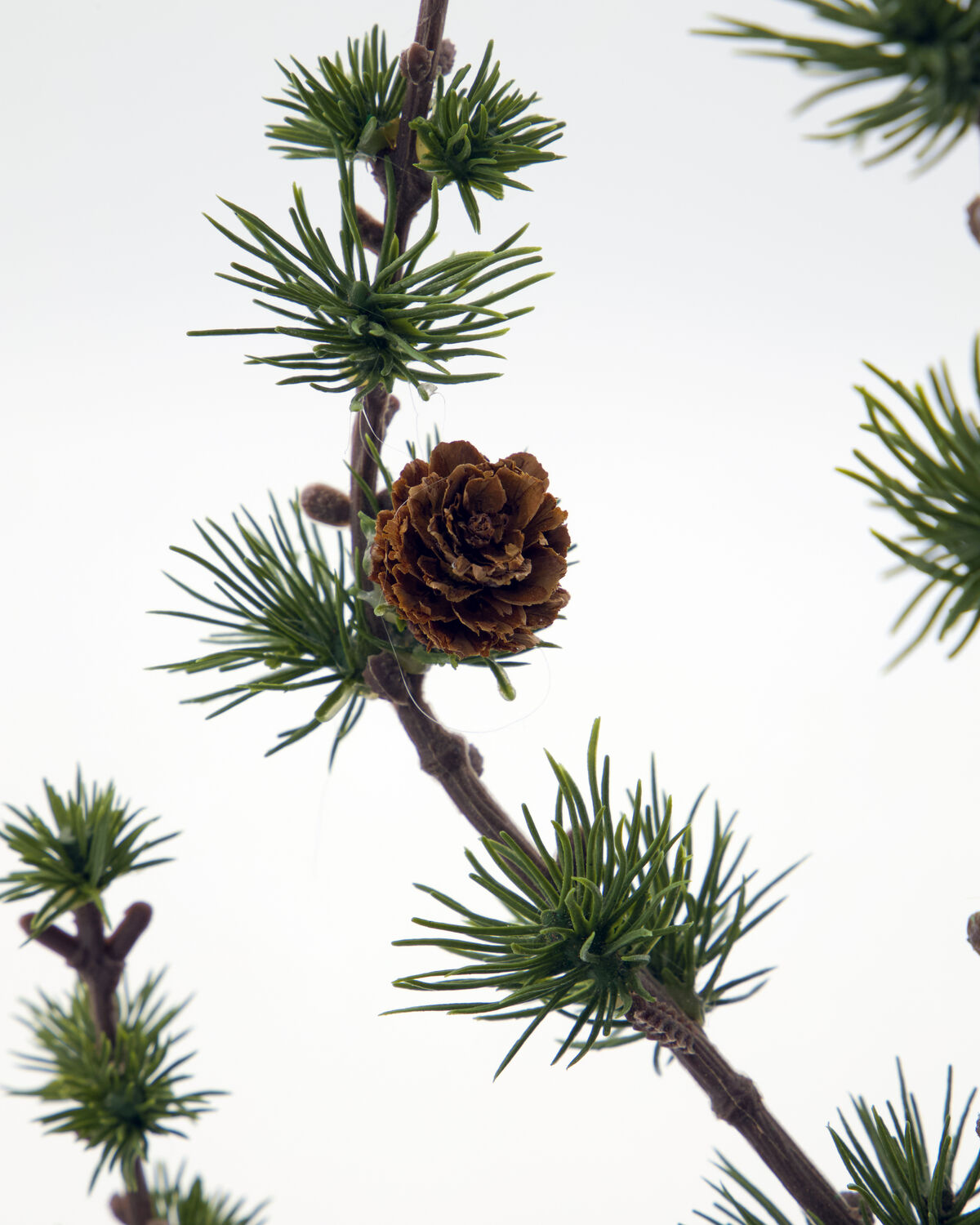 Weihnachtsbaum, HDStay, Grün