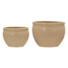 Blumentopf, HDVale, Beige