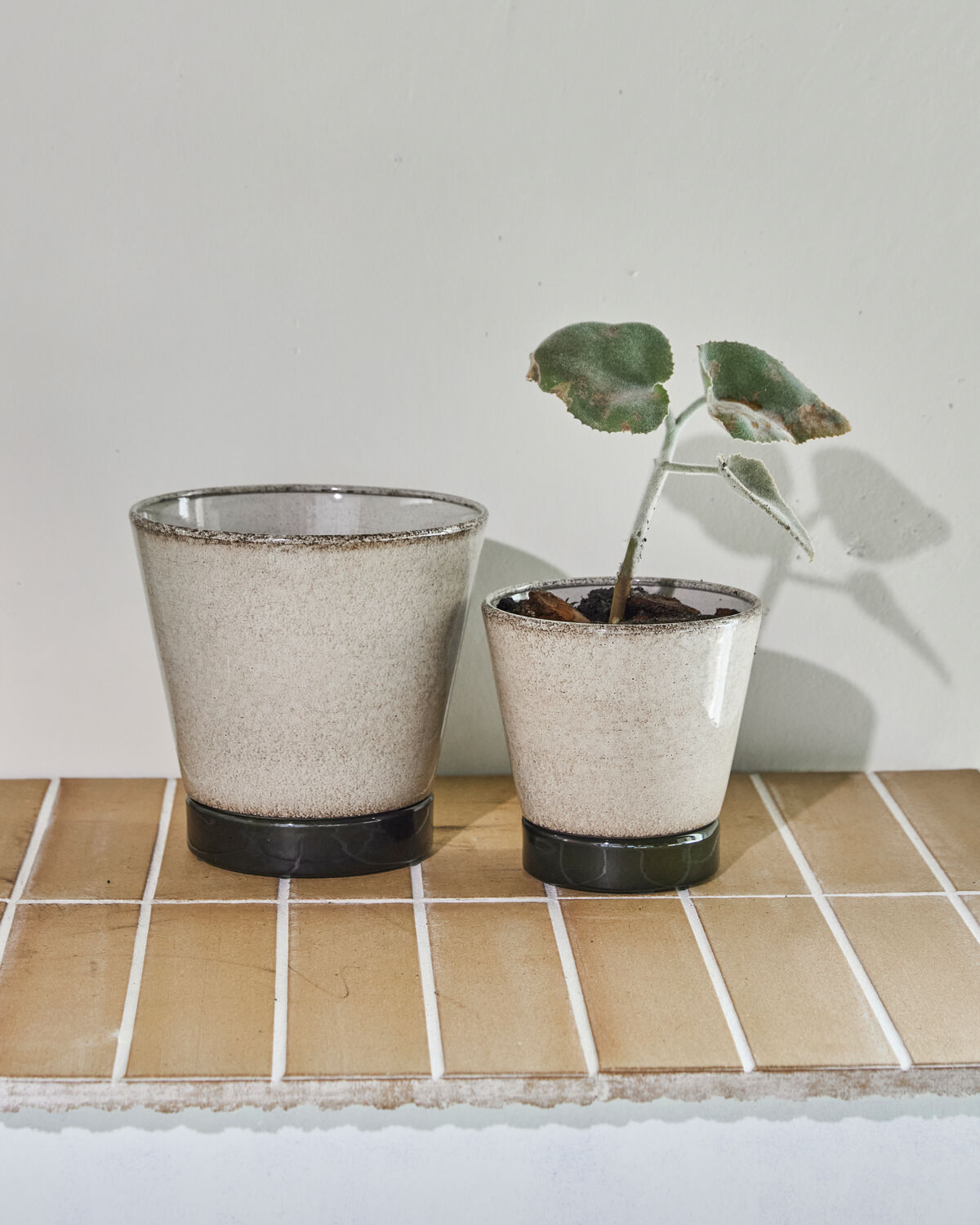 Blumentopf, HDLima, Beige, Grün