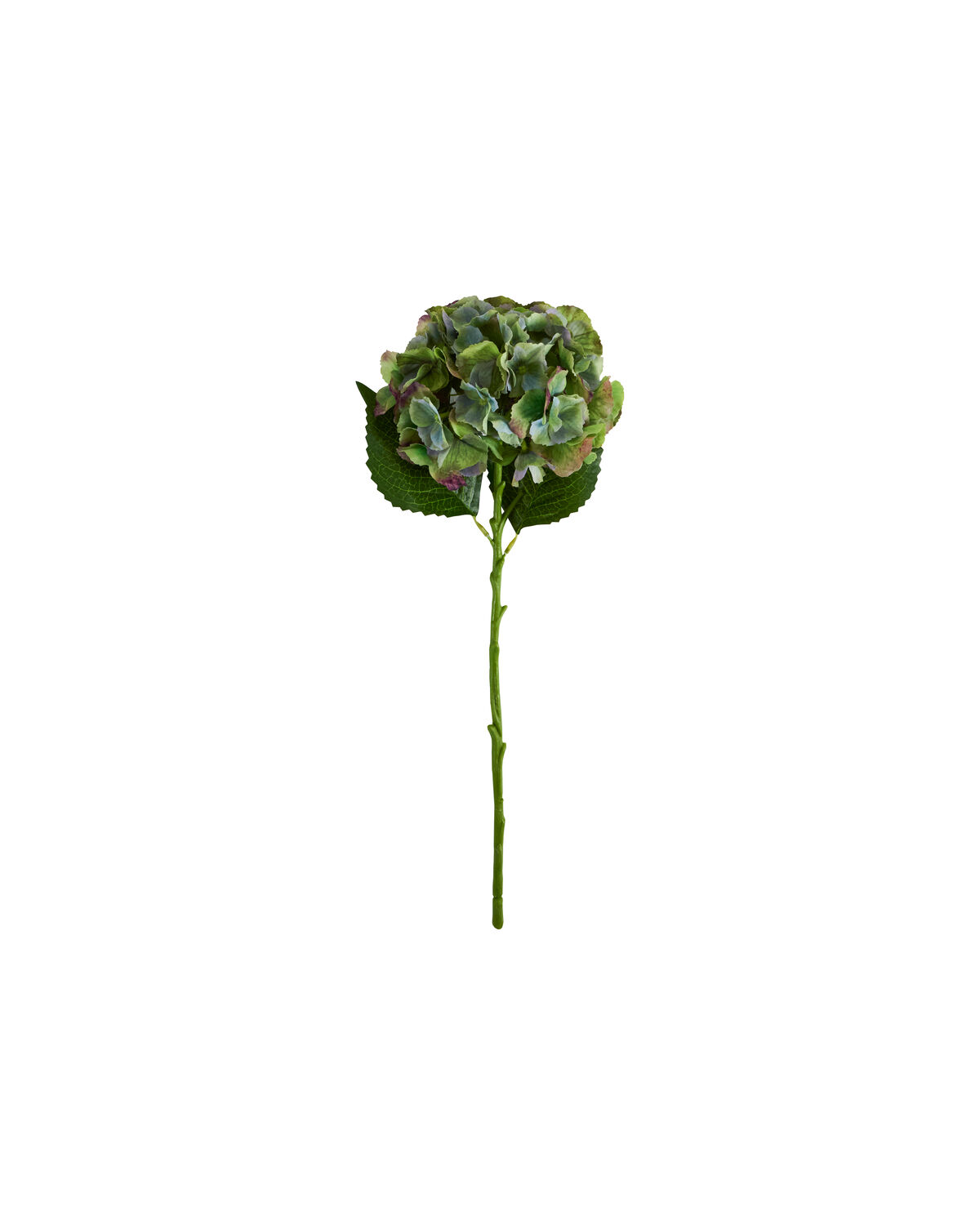 Artificial flower, HDHydrangea, Grün, Blau