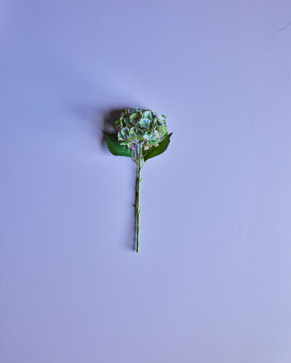 Artificial flower, HDHydrangea, Grün, Blau