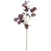 Artificial branch, HDEucalyptus, Bordeaux