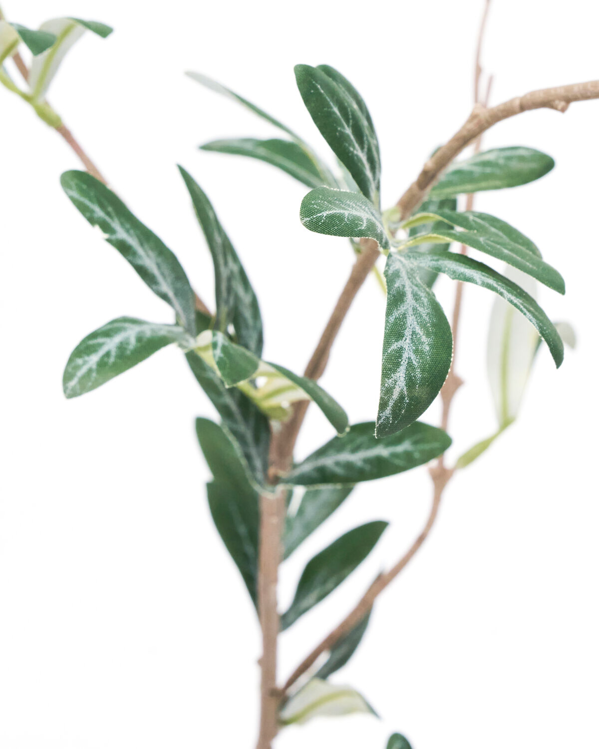 Artificial branch, HDOlive, Grün