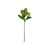 Artificial flower, HDSkimmia, Grün