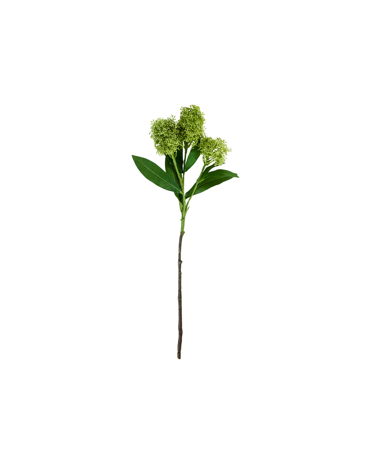 Artificial flower, HDSkimmia, Grün