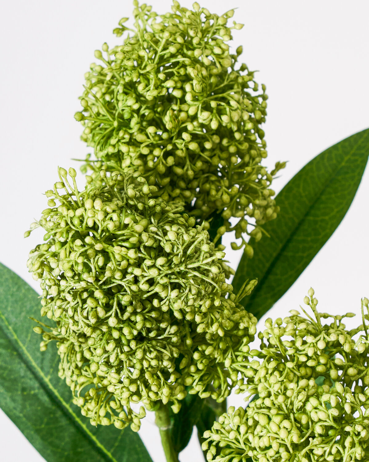 Artificial flower, HDSkimmia, Grün