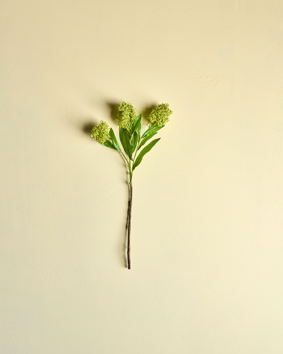 Artificial flower, HDSkimmia, Grün