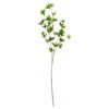 Artificial branch, HDJaponica, Grün