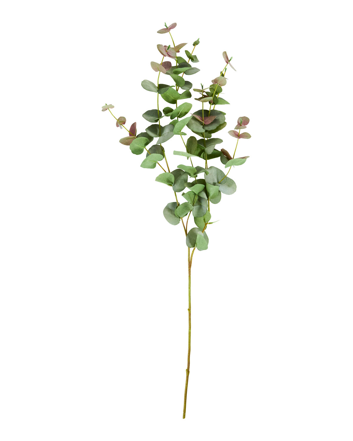 Artificial branch, HDEucalyptus, Grün