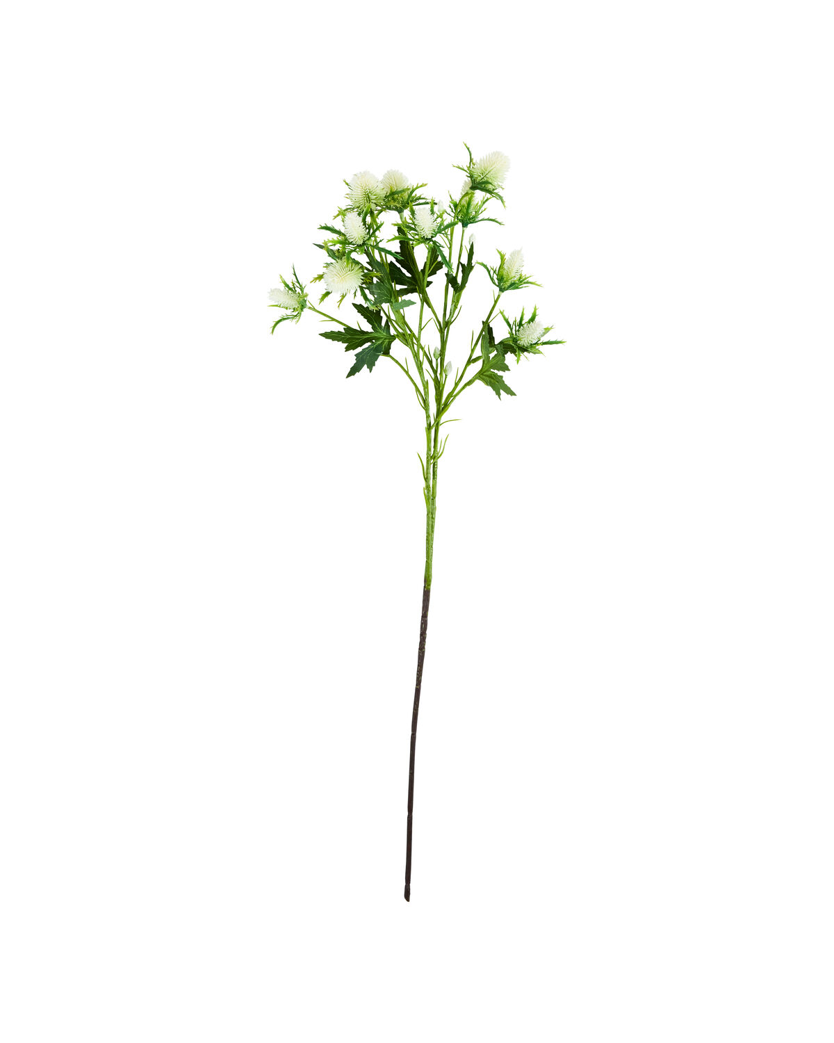 Artificial flower, HDEryngium, Weiß