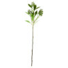 Artificial branch, HDLigustrum, Grün