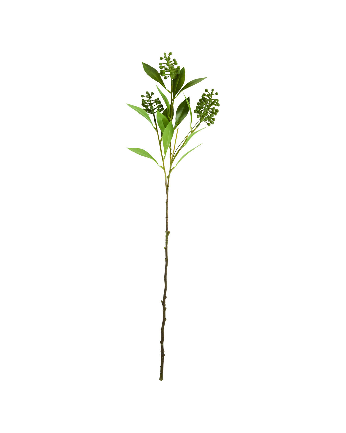 Artificial branch, HDLigustrum, Grün