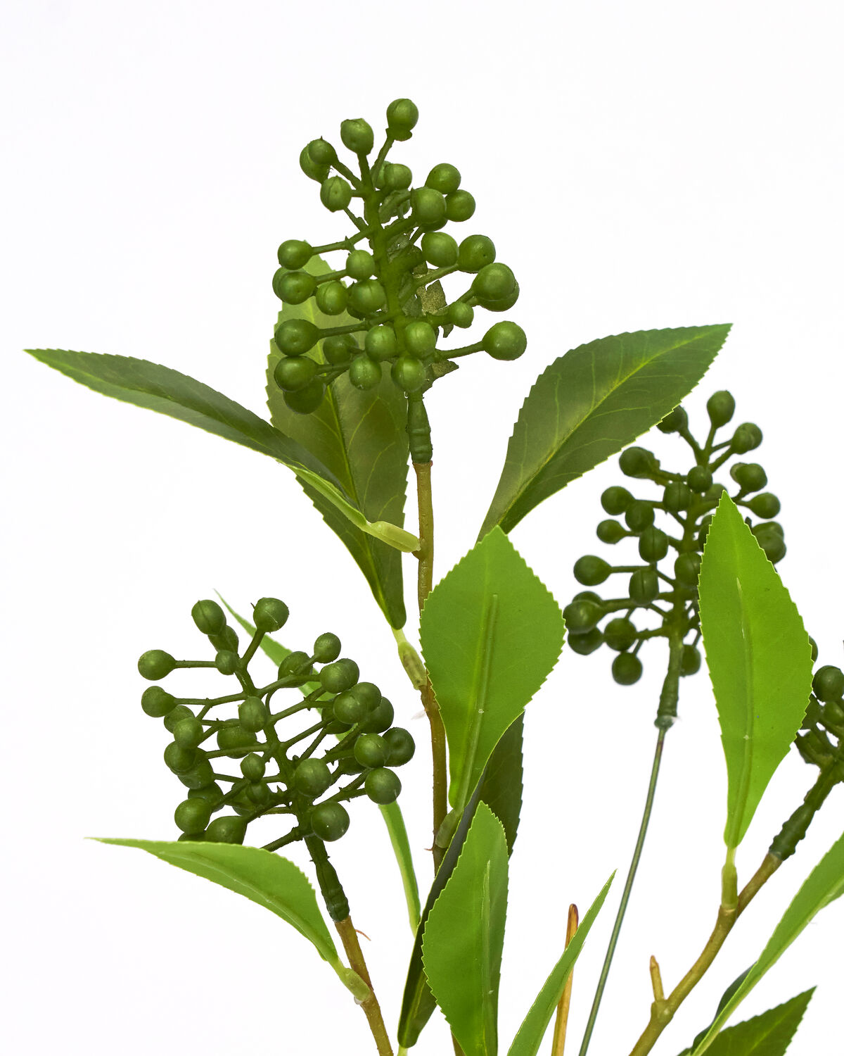 Artificial branch, HDLigustrum, Grün